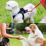 Portable Collapsible Dog Bowls - Travel Set