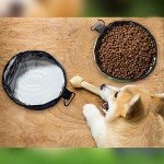 Portable Collapsible Dog Bowls - Travel Set