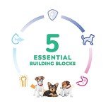 Hill's Science Diet Small Breed Puppy Food, 2kg