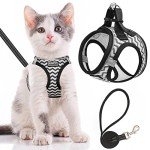 Escape-Proof Cat Harness & Leash Set