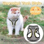 Escape-Proof Cat Harness & Leash Set