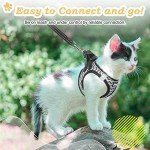 Escape-Proof Cat Harness & Leash Set