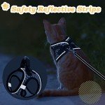 Escape-Proof Cat Harness & Leash Set
