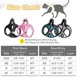 Escape-Proof Cat Harness & Leash Set