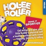 JW Pet Hol-ee Roller Dog Puzzle Ball – Medium