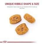 Royal Canin Yorkshire Terrier Adult Dry Dog Food