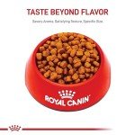 Royal Canin Yorkshire Terrier Adult Dry Dog Food