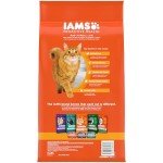 IAMS Hairball Care Dry Cat Food - 7 lbs