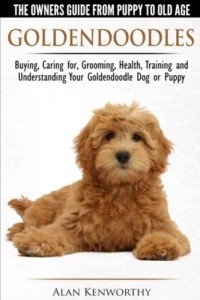 Goldendoodle Owner's Guide: Care, Training, and More