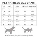 AMTOR Small Dog Harness and Leash Set - Green