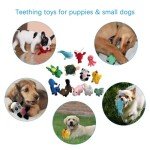 Squeaky Plush Dog Toy Pack for Puppies