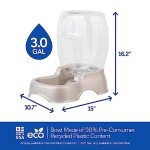 Pet Mate Cafe 3 Gallon Pet Water Dispenser