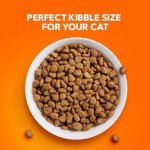 IAMS Proactive Health Chicken Dry Cat Food, 7 lbs