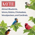 Kaytee Dried Mealworms for Bluebirds - 3.5 oz