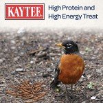 Kaytee Dried Mealworms for Bluebirds - 3.5 oz