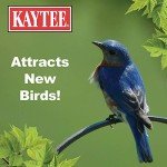 Kaytee Dried Mealworms for Bluebirds - 3.5 oz