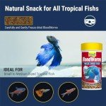 Tetra Freeze-Dried Bloodworms for Fish 0.25 Oz