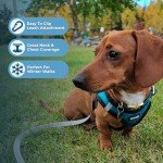 Plush Step-In Dog Harness for Small Dogs