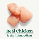 Nutro Natural Choice Senior Small Breed Dog Food