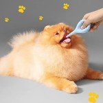 Puppy Feeding Tube Kit with Syringes and Tools