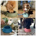 Spill Proof Collapsible Dog Water Bowl - 24oz