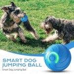 Vibrating Interactive Dog Ball Toy - Blue