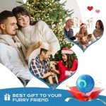 Vibrating Interactive Dog Ball Toy - Blue