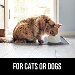 Waterproof Silicone Pet Feeding Mat with Raised Edge