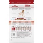 Royal Canin Medium Breed Adult Dog Food, 17 lb