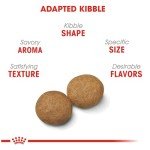 Royal Canin Medium Breed Adult Dog Food, 17 lb