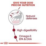 Royal Canin Medium Breed Adult Dog Food, 17 lb