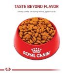 Royal Canin Medium Breed Adult Dog Food, 17 lb
