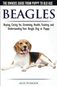 Beagle Owner's Guide: Care, Training, and Health