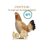 Manna Pro Non-Medicated Chick Starter Feed 5lbs