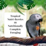 Lafeber Tropical Fruit Nutri-Berries for Parrots