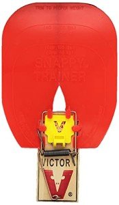 Hueter Toledo Snappy Trainer 2-Pack