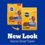 Pedigree Adult Dry Dog Food, Chicken & Veggies