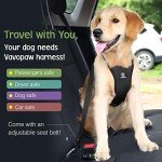 Adjustable Dog Car Seat Belt Harness - Black