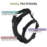 Adjustable Dog Car Seat Belt Harness - Black