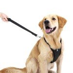 Adjustable Dog Car Seat Belt Harness - Black