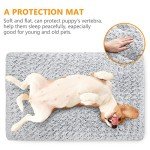 Washable Anti-Slip Pad for Small Dogs & Cats