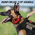 Rabbitgoo Tactical No-Pull Dog Harness for Large Dogs