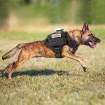 Rabbitgoo Tactical No-Pull Dog Harness for Large Dogs