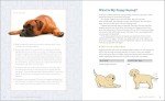Puppy Training Guide for Kids: Fun Exercises & Tricks