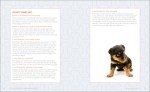 Puppy Training Guide for Kids: Fun Exercises & Tricks