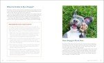 Puppy Training Guide for Kids: Fun Exercises & Tricks