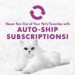 Purina Fancy Feast Kitten Wet Food Variety Pack