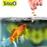 Tetra Goldfish Flakes for Healthy, Stress-Free Fish