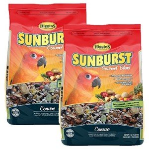 Higgins Sunburst Gourmet Conure Food Mix