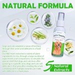 Puppy Potty Training & No-Chew Spray 3.38 Fl Oz